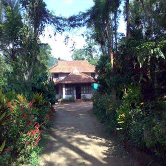 Cats Den Estate Stay, Coorg 3